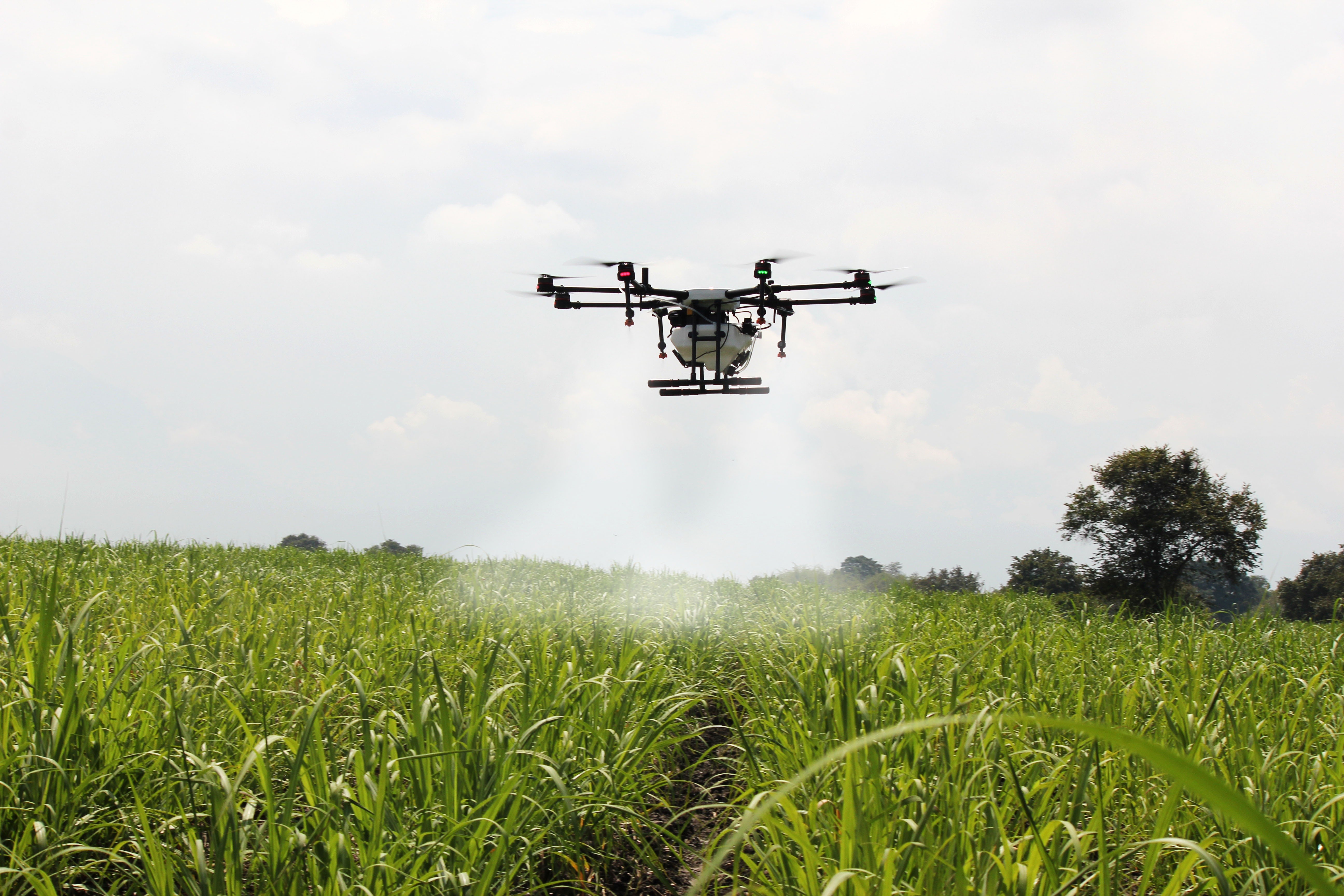 drone spraying crops