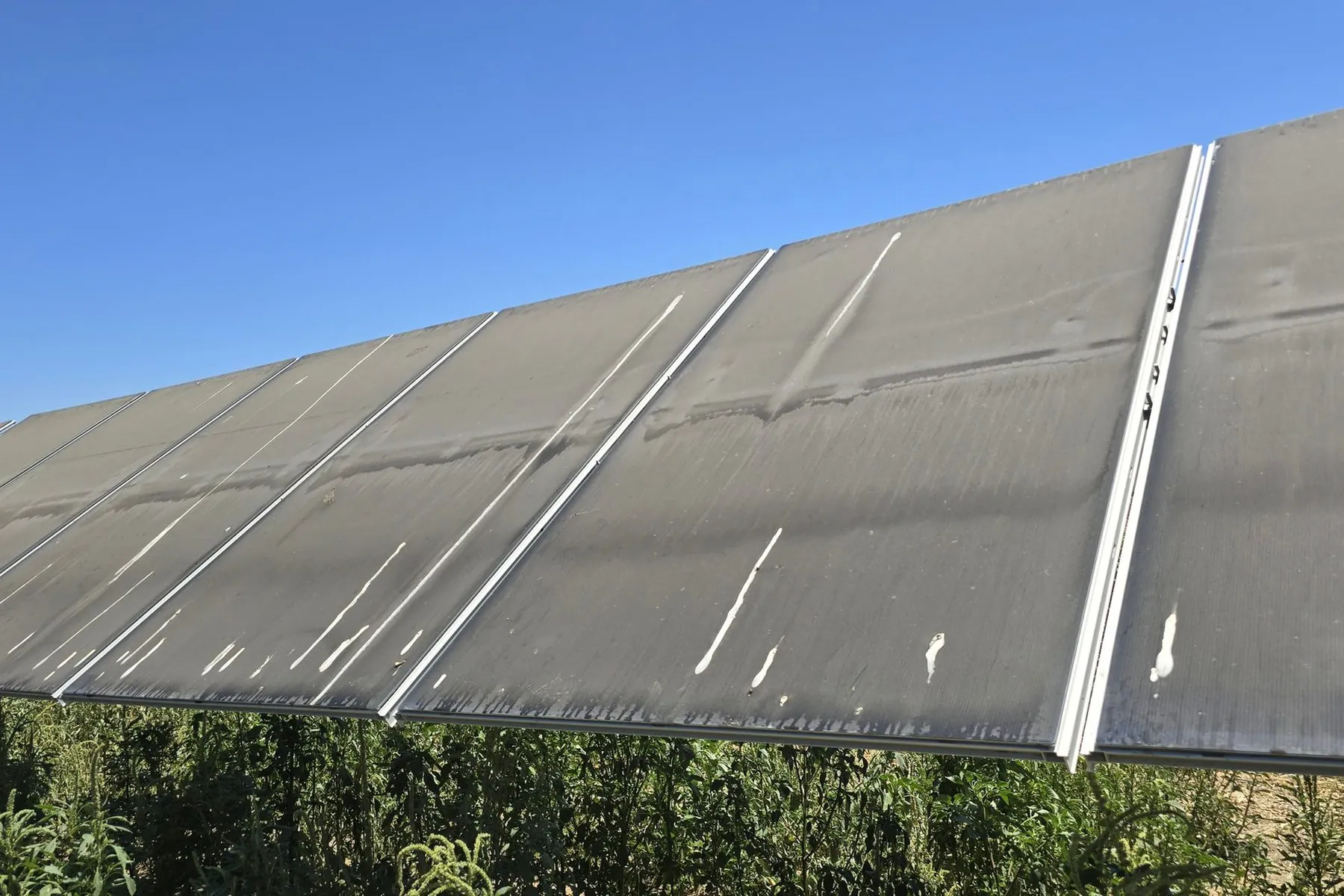 Ground-mount solar row covered in dust and droppings before a wash
