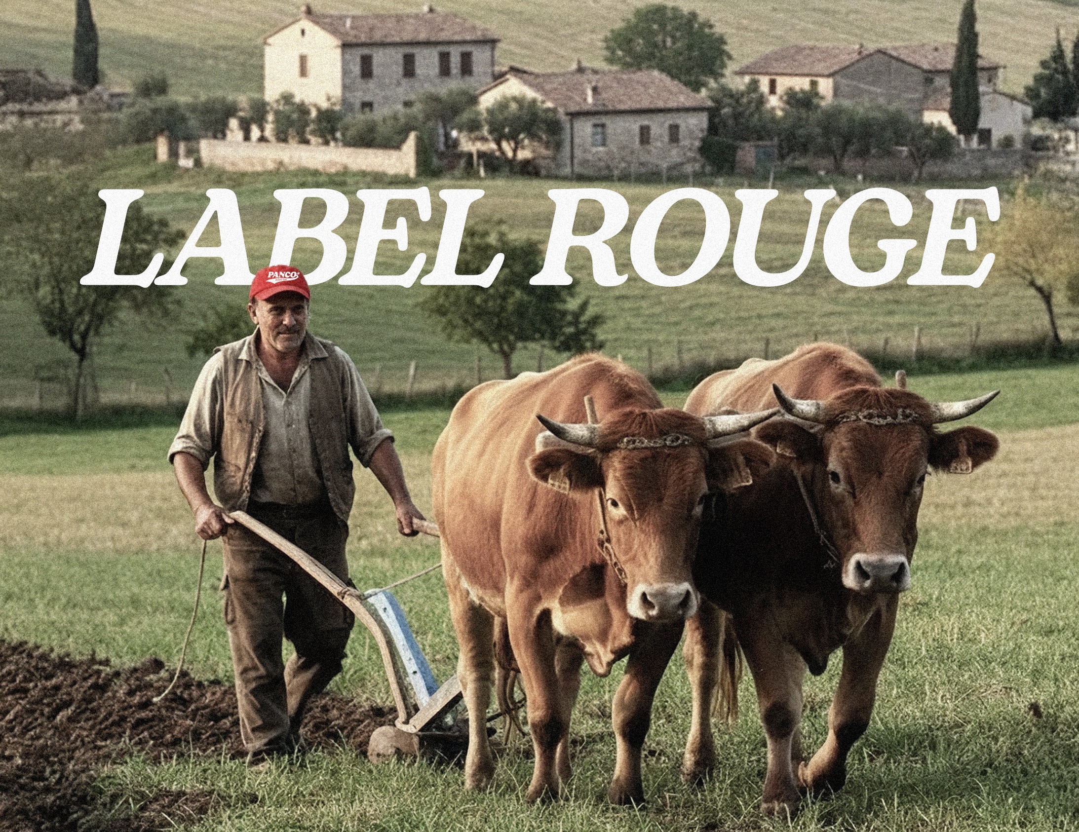 Un agriculteur portant une casquette Panco laboure un champ à l'ancienne avec deux bœufs, sous la mention 'LABEL ROUGE' en lettres blanches, illustrant la qualité et la tradition du terroir.