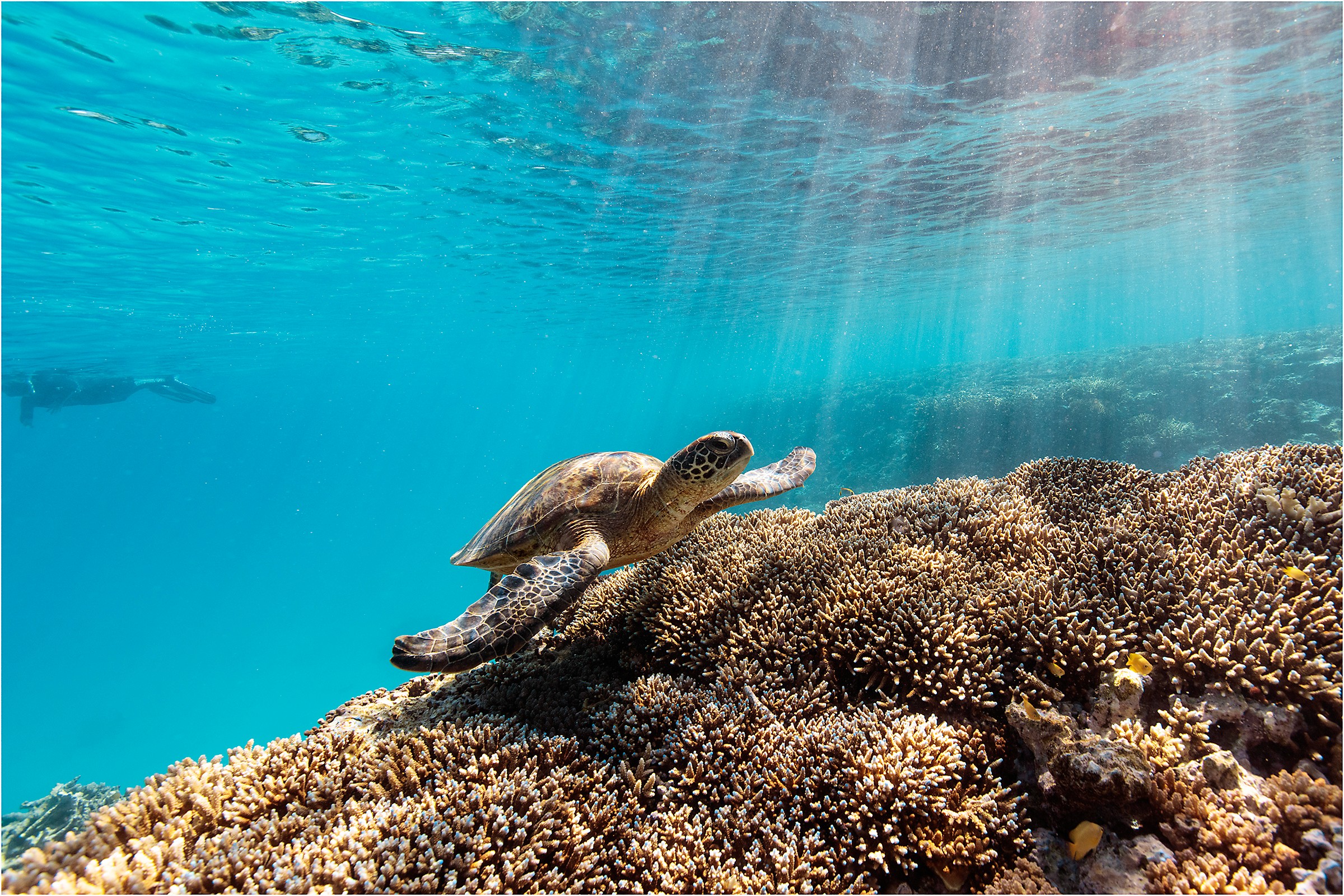 A man with surfboard at beach