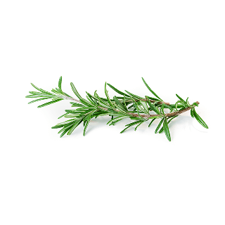 Rosemary