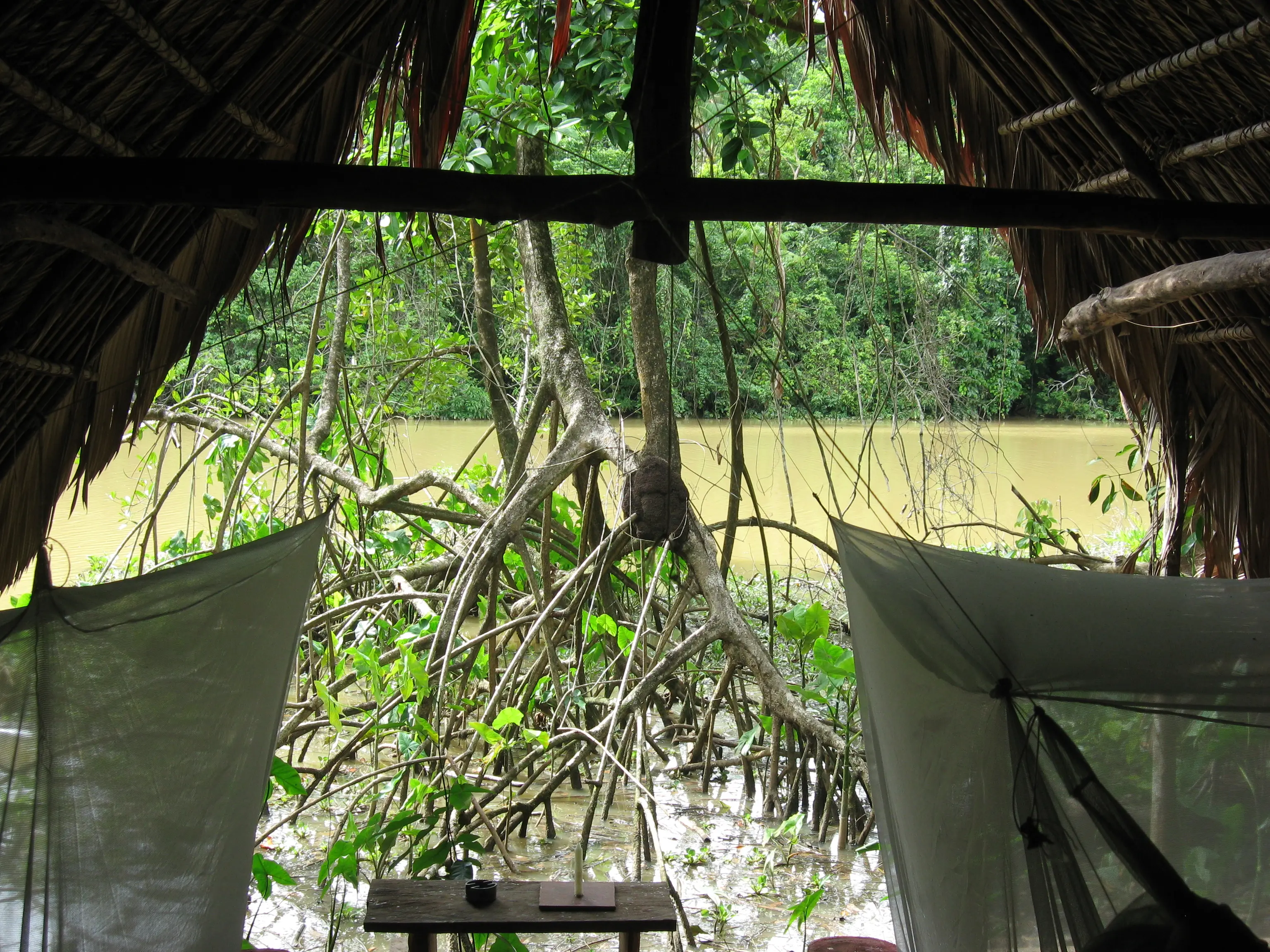Andrea Modesti, istruttore di survival e bushcraft, esperto in campi avventura per ragazzi e corsi di sopravvivenza outdoor