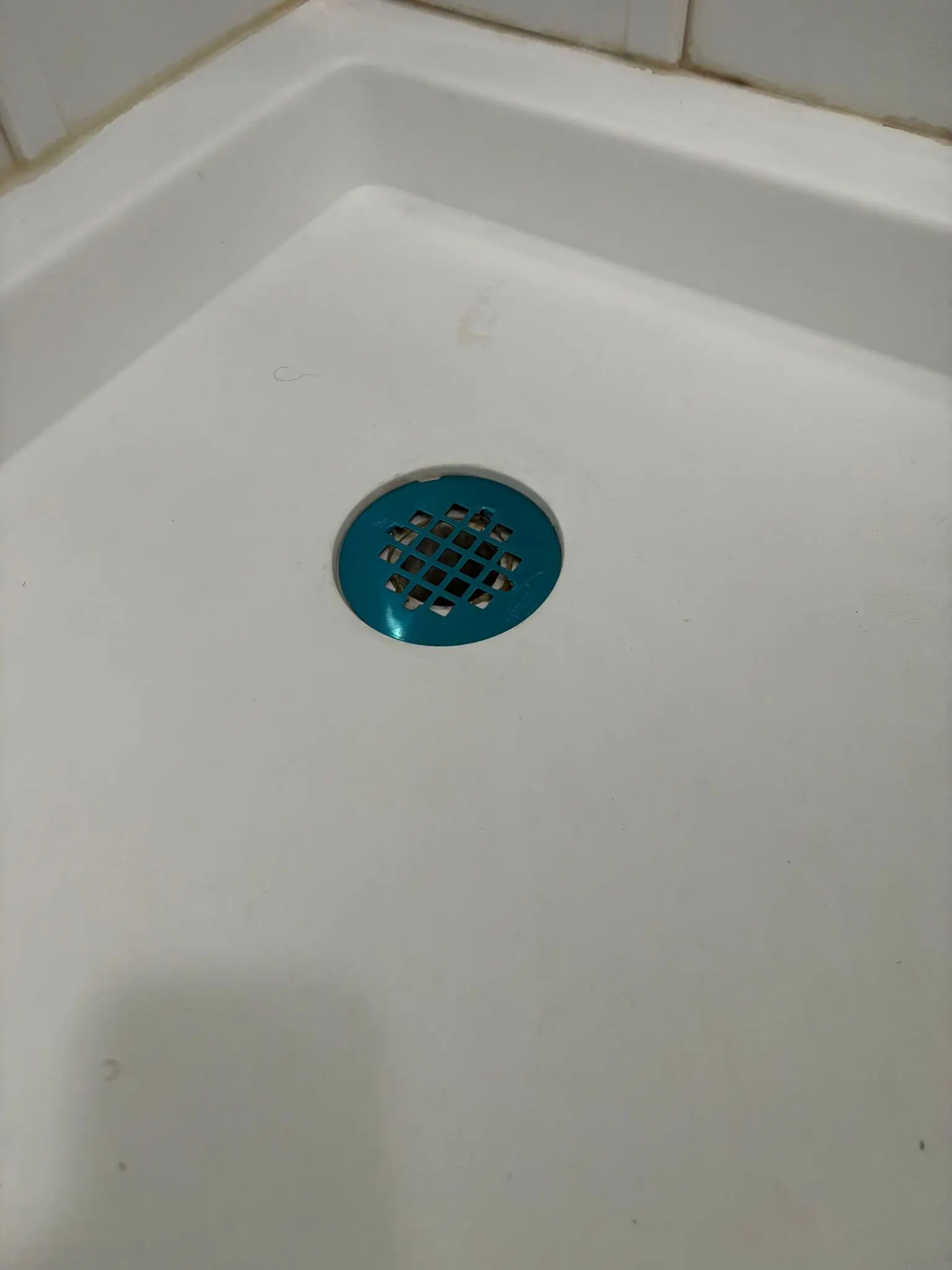 A round shower floor drain grate set in a white shower basin, inspected during a targeted shower repair.