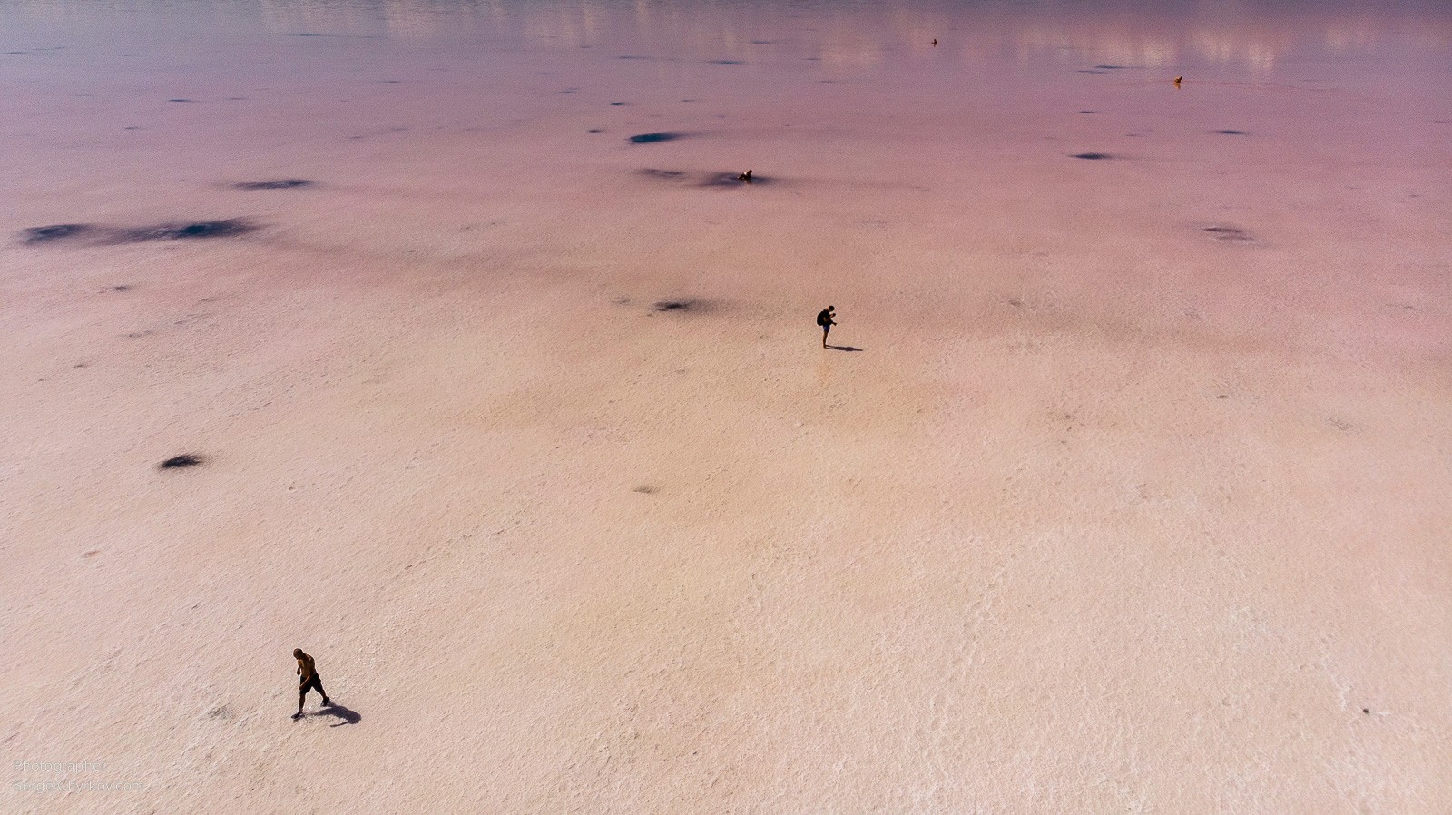 Одесский Куяльник, розовое цветение. Фотограф Сергей Чирков. 