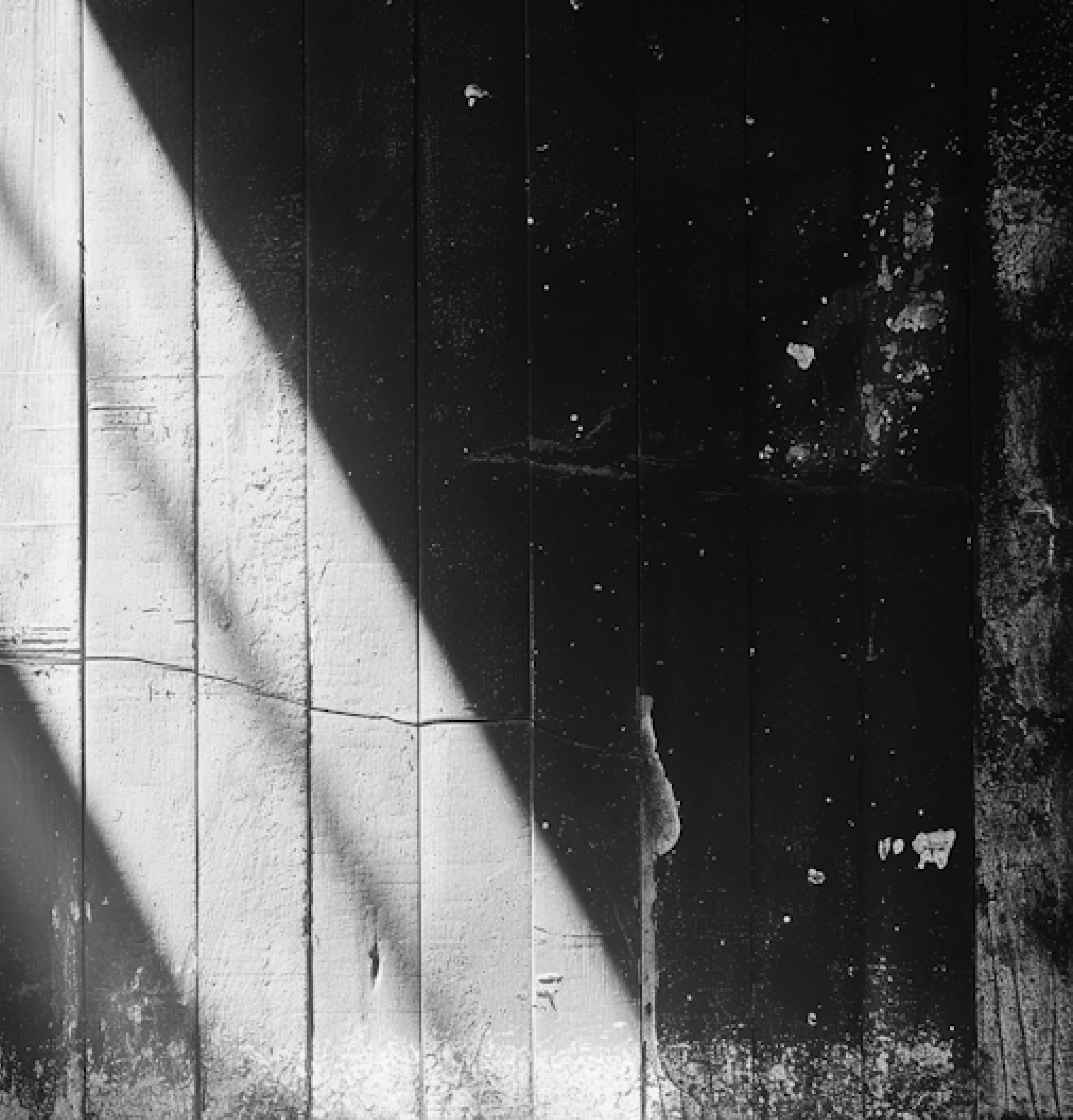 Black and white photo showcasing a textured wooden wall with visible grain patterns and natural imperfections.