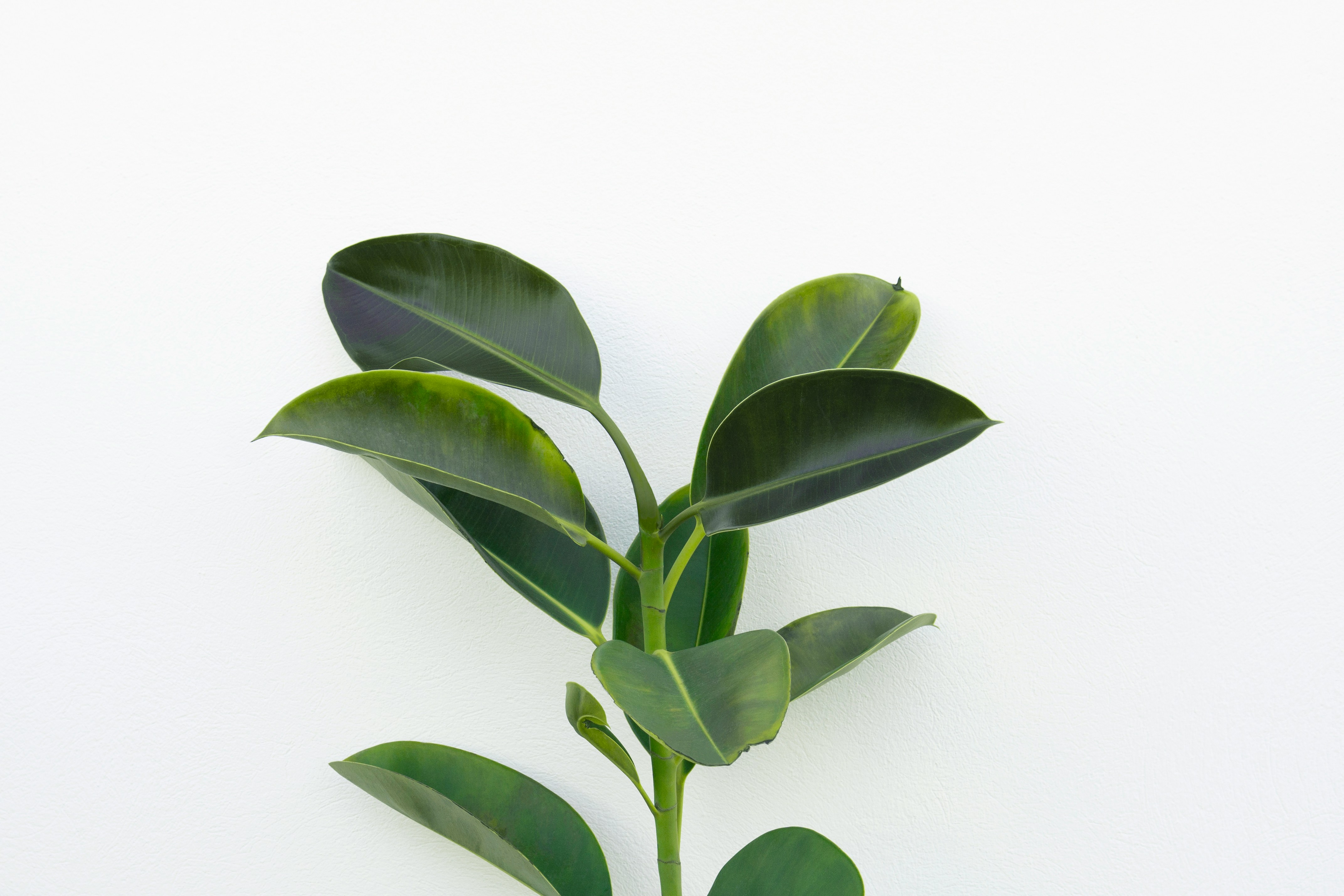 grey building structure under grey sky