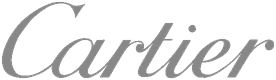 Client logo placeholder