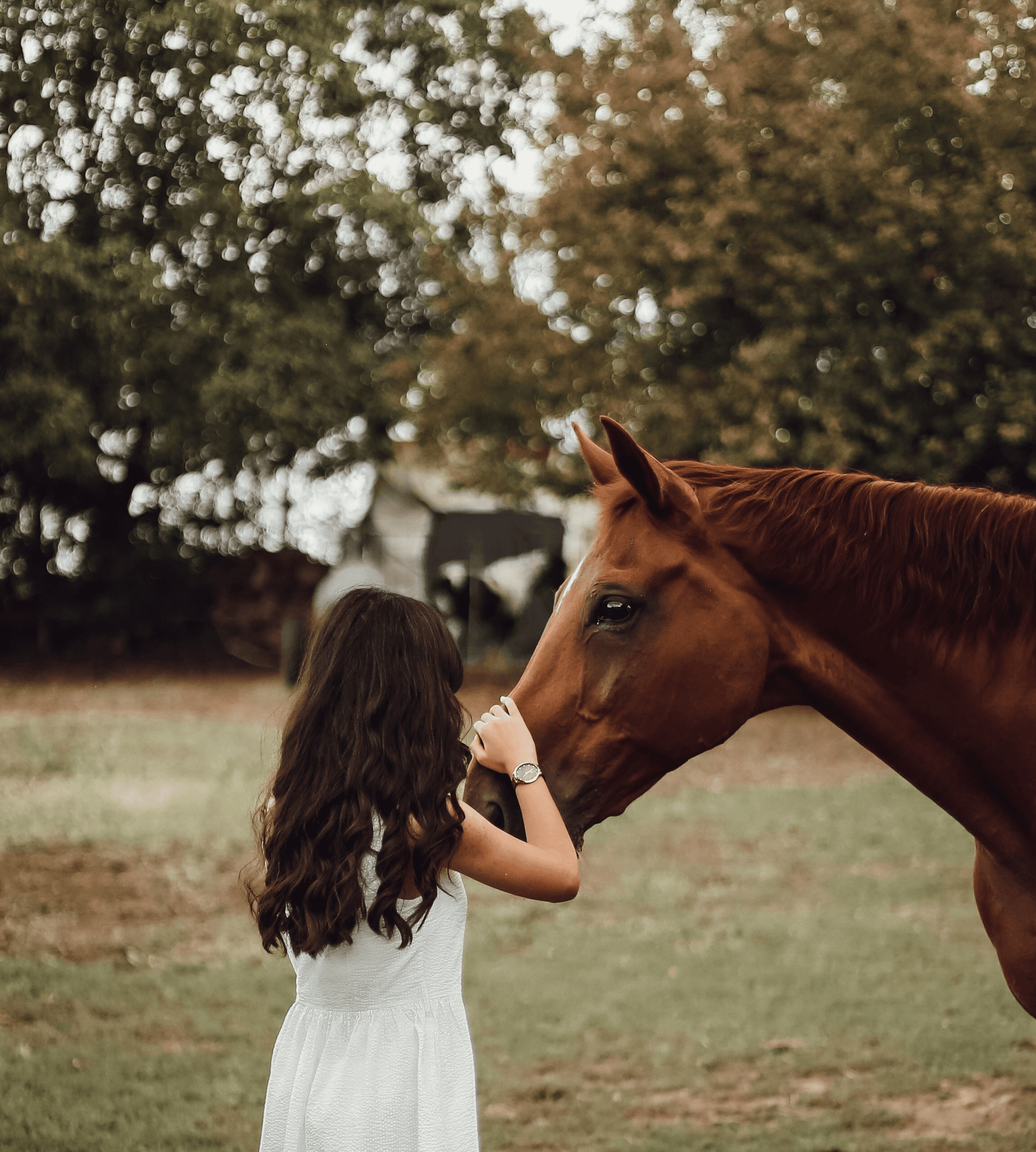 woman in white tank top standing beside brown horse during daytime