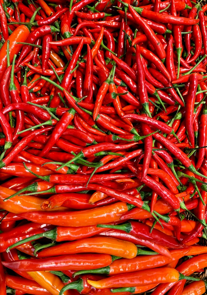 Tomato Farming Business Course