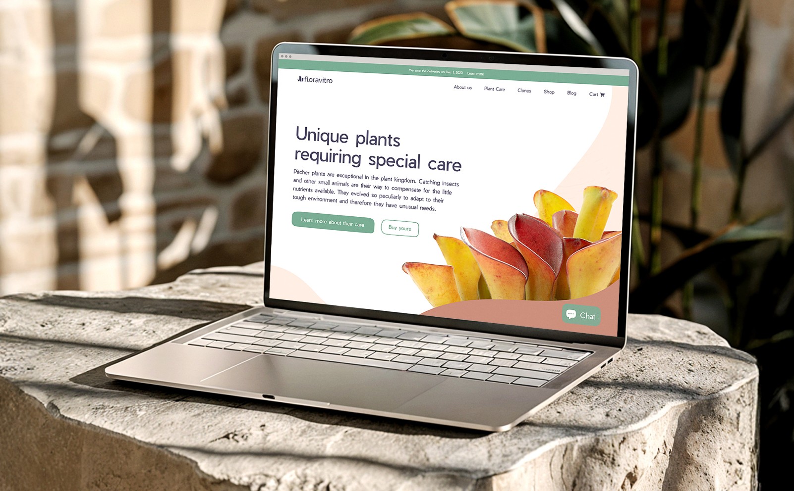 Webflow website design for plant online shop