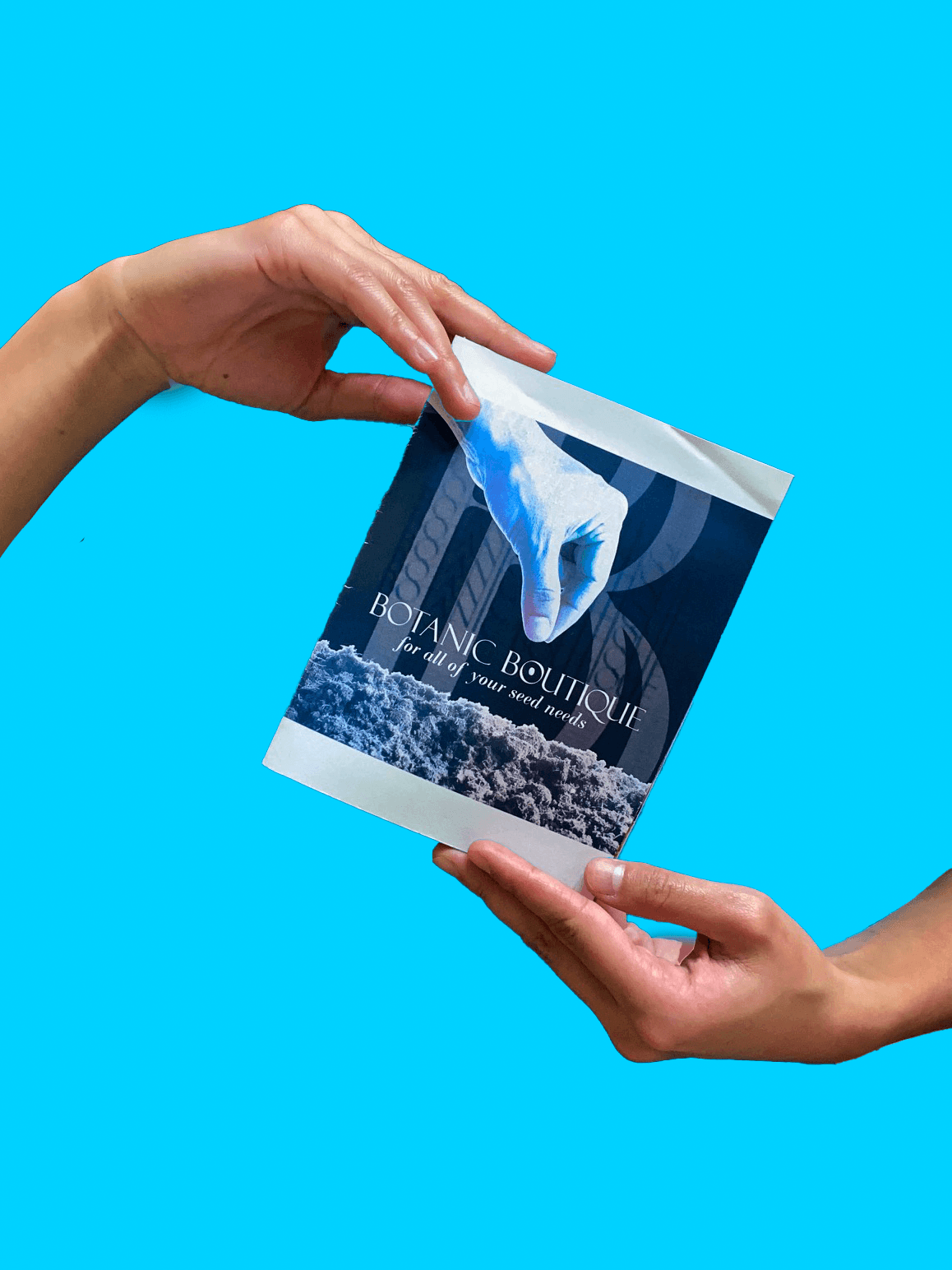 Front cover of my stupid catalog being held by hands.