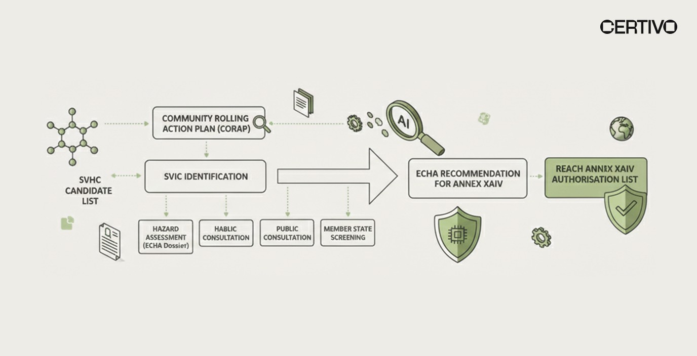 REACH Annex XIV authorisation compliance pathway from SVHC candidate list
