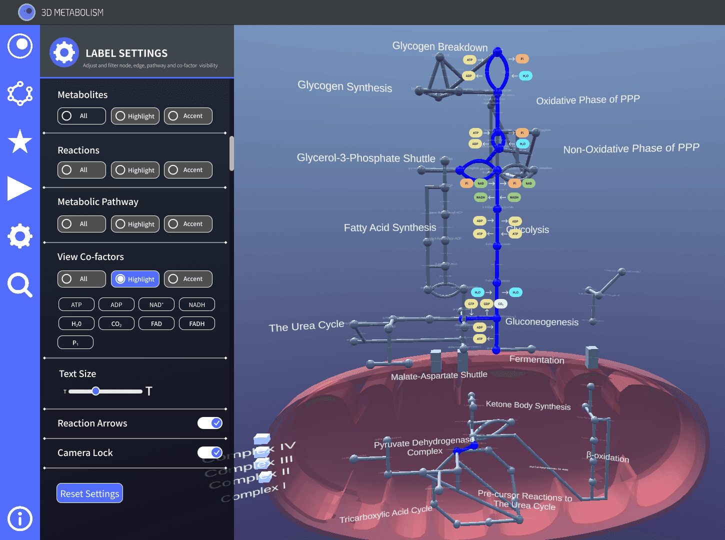 settings tab and cofactor visualization