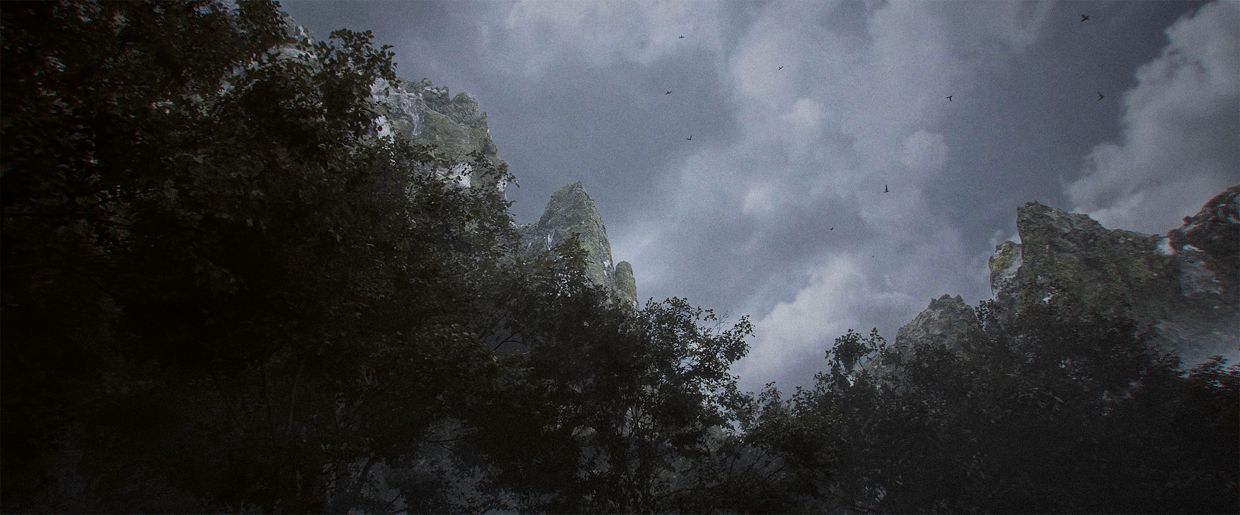 empty road by leafless during foggy weather