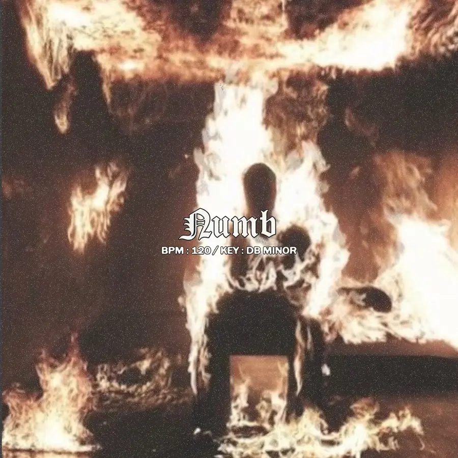 $uicideboy$ x Pouya | Numb