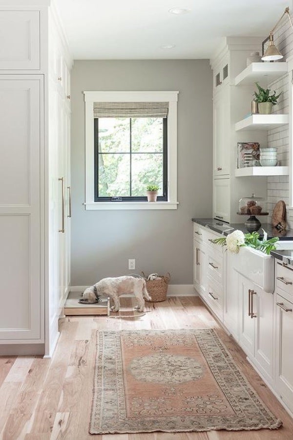 Pet Storage Solutions