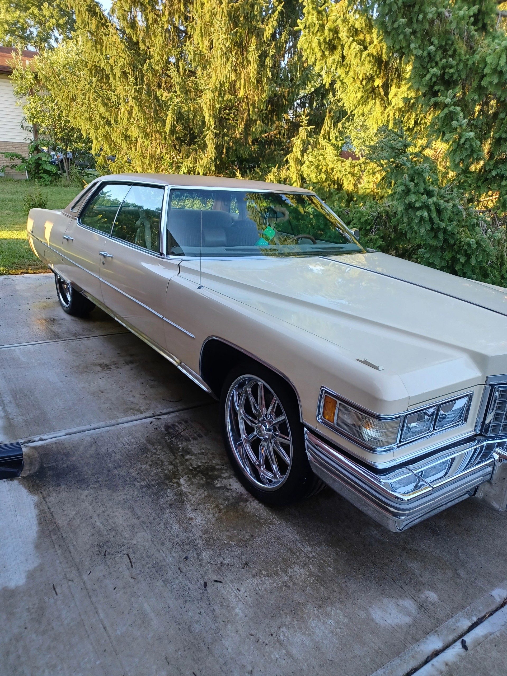Close inspection during professional auto detailing