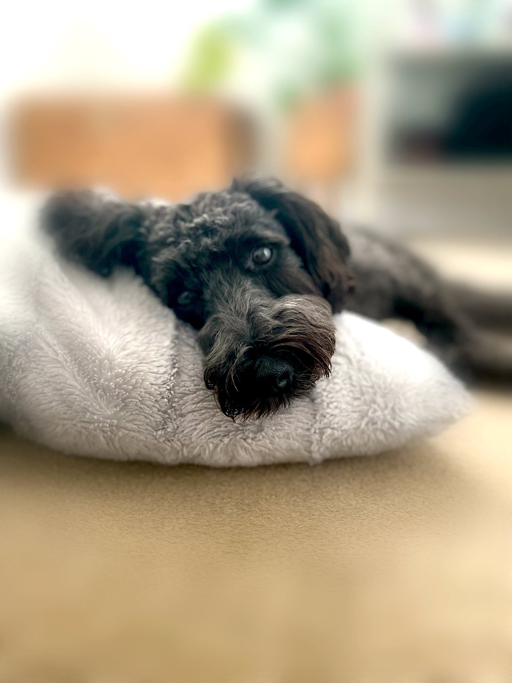 Businesswoman smiling