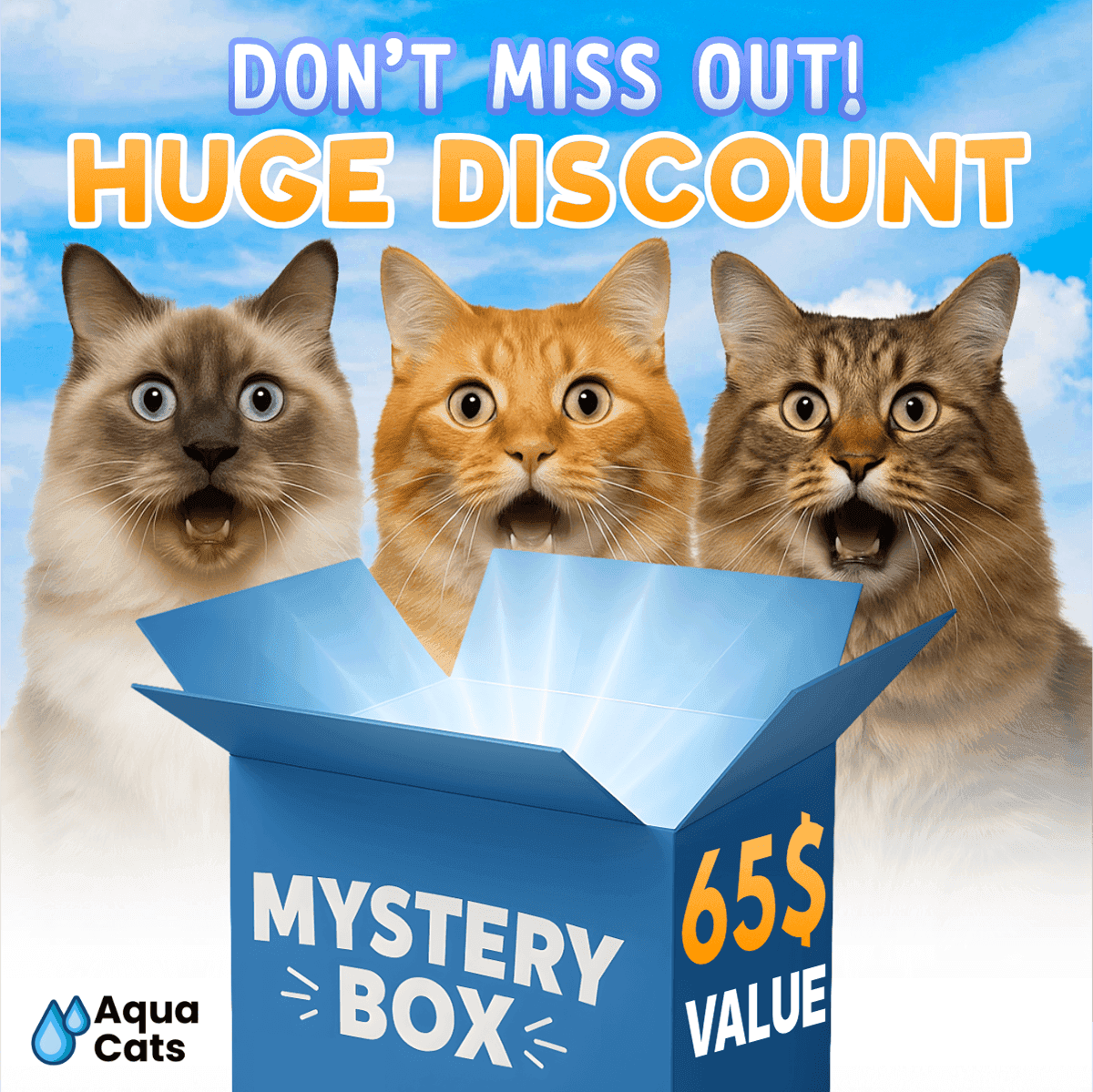 AquaPaws Advertisement Design — image 8