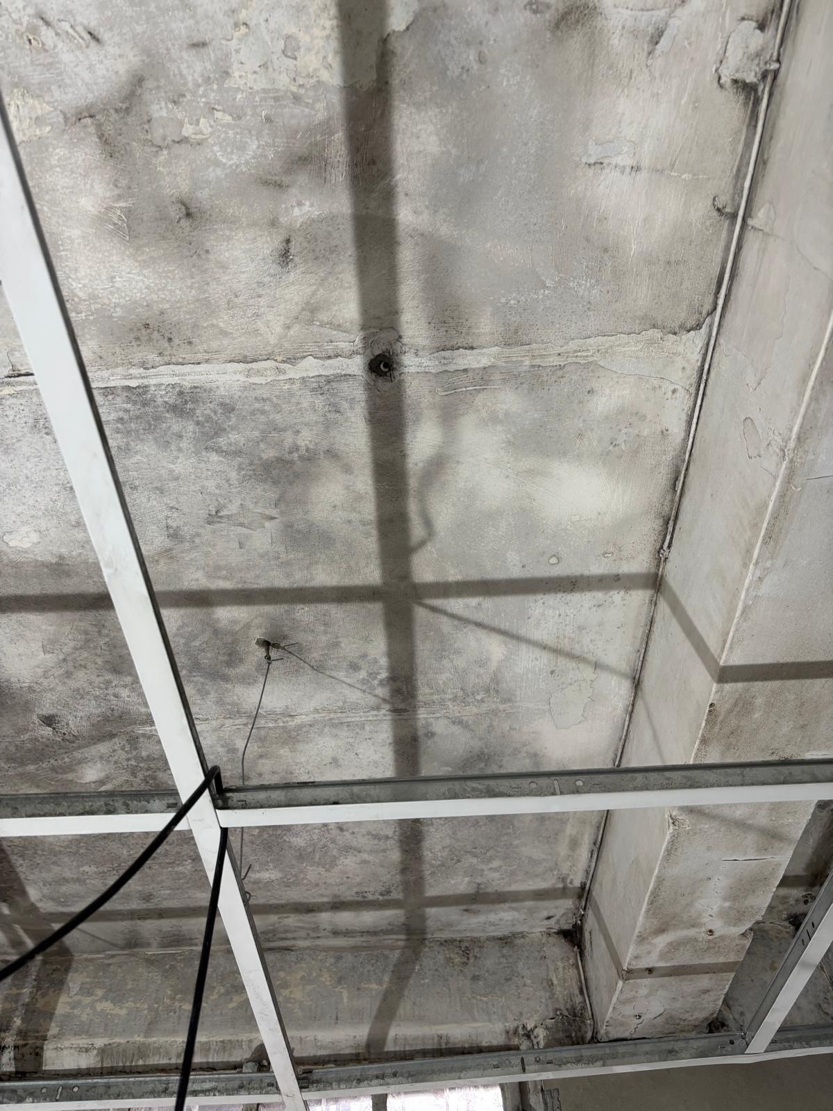 Commercial mould remediation project by Mould Matters