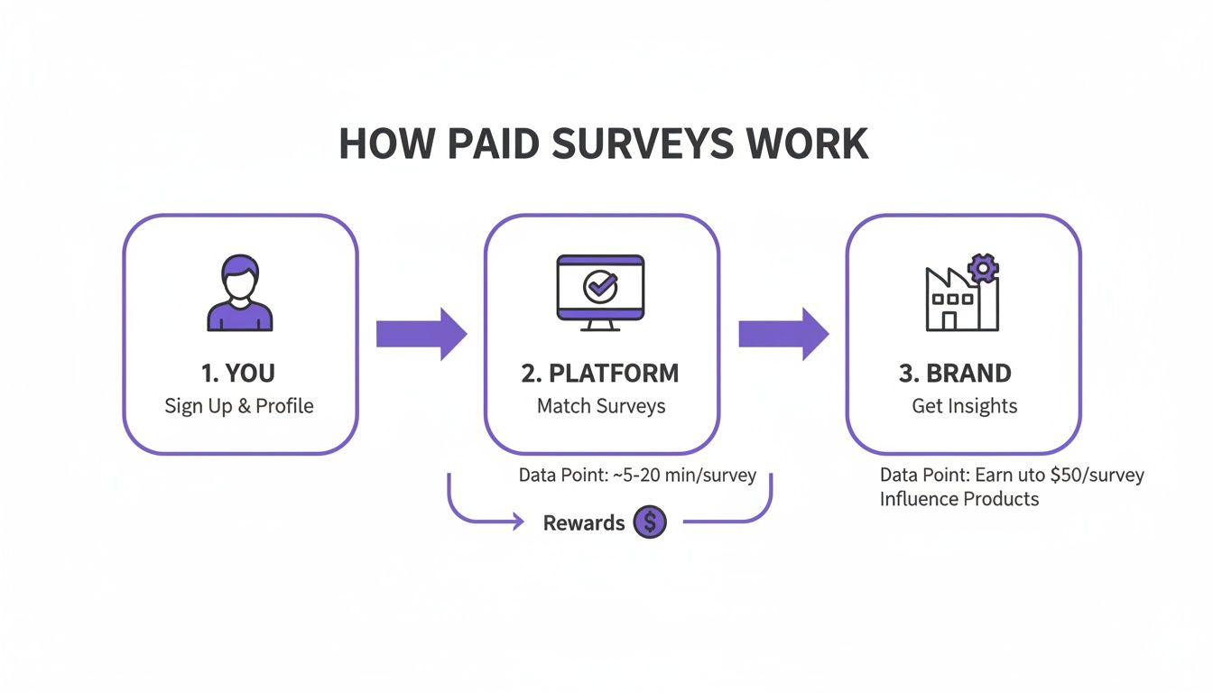 A flowchart showing how paid online surveys work, involving users, survey platforms, and brands.