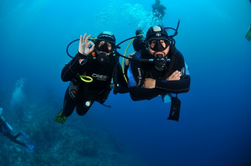 A grid of website sections