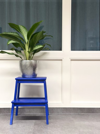 A sleek, green chair with a curved seat and wooden legs, set against a dark green background.