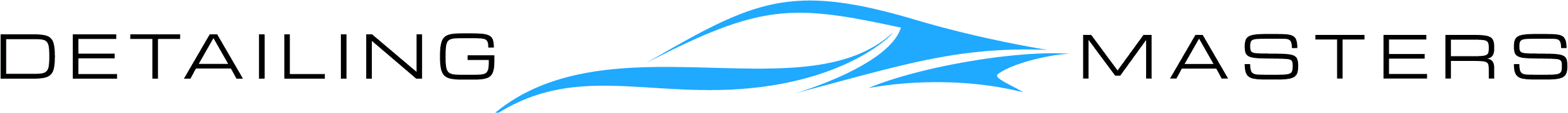Detailing Masters logo horizontal layout 2 color for light backgrounds