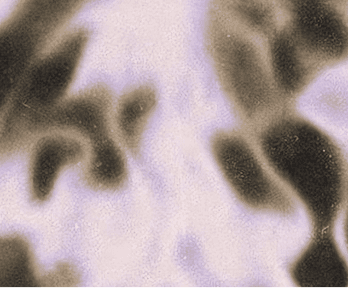 Sample project image