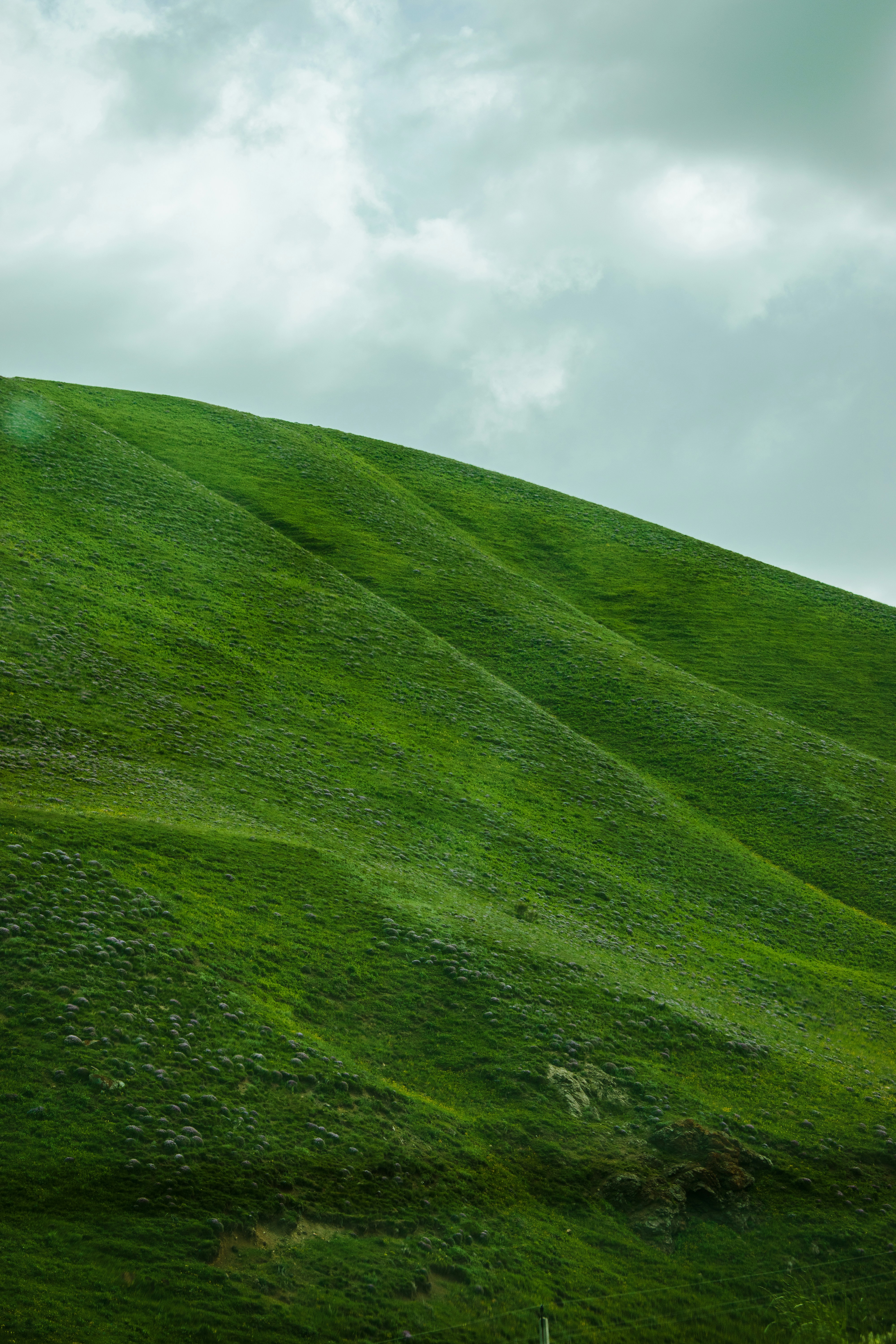 A deep green steep hill