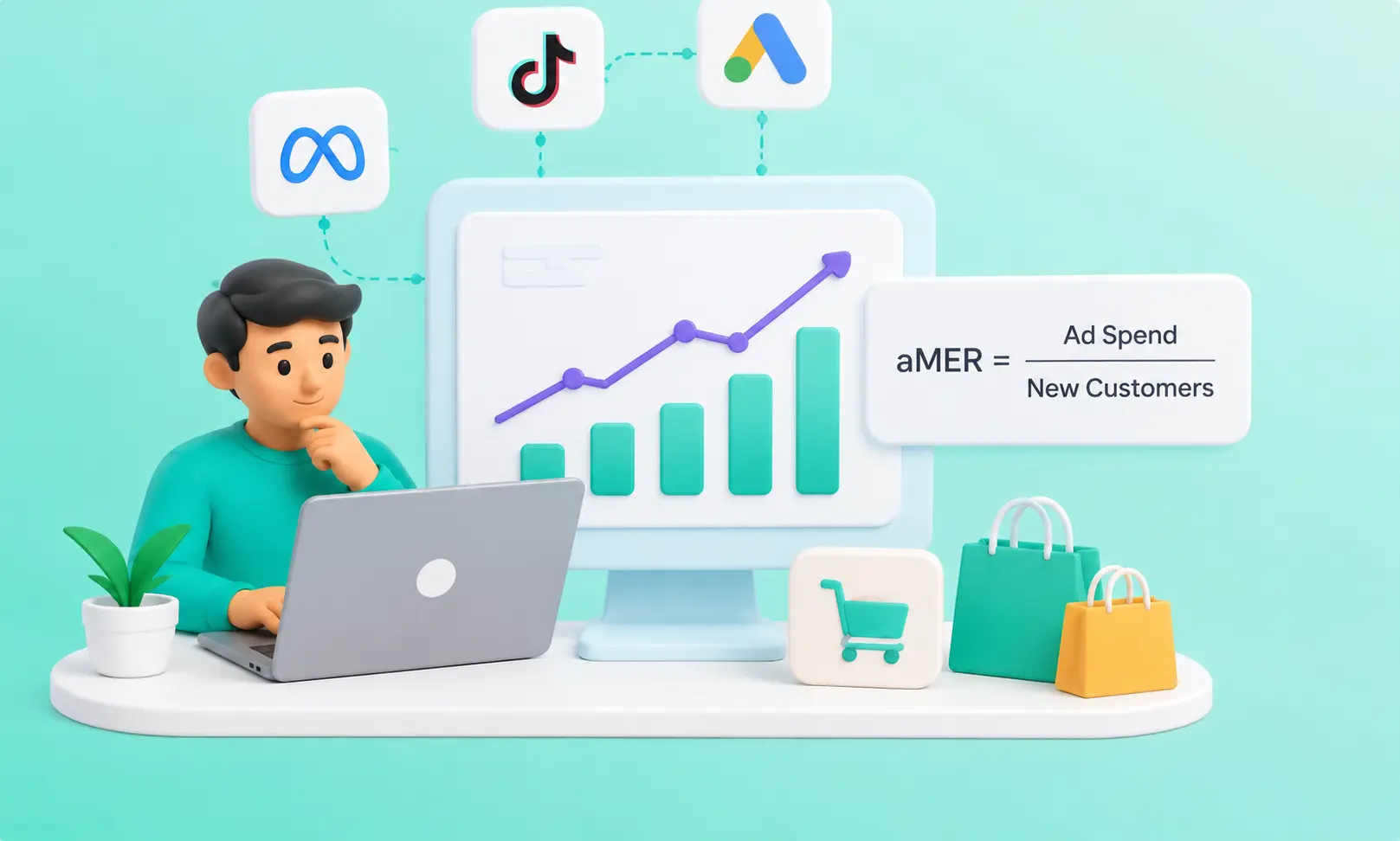 What Is Acquisition MER (aMER)
