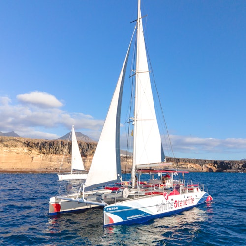 A catamaran with red and blue markings sails near rocky cliffs on a sunny day with a clear sky.