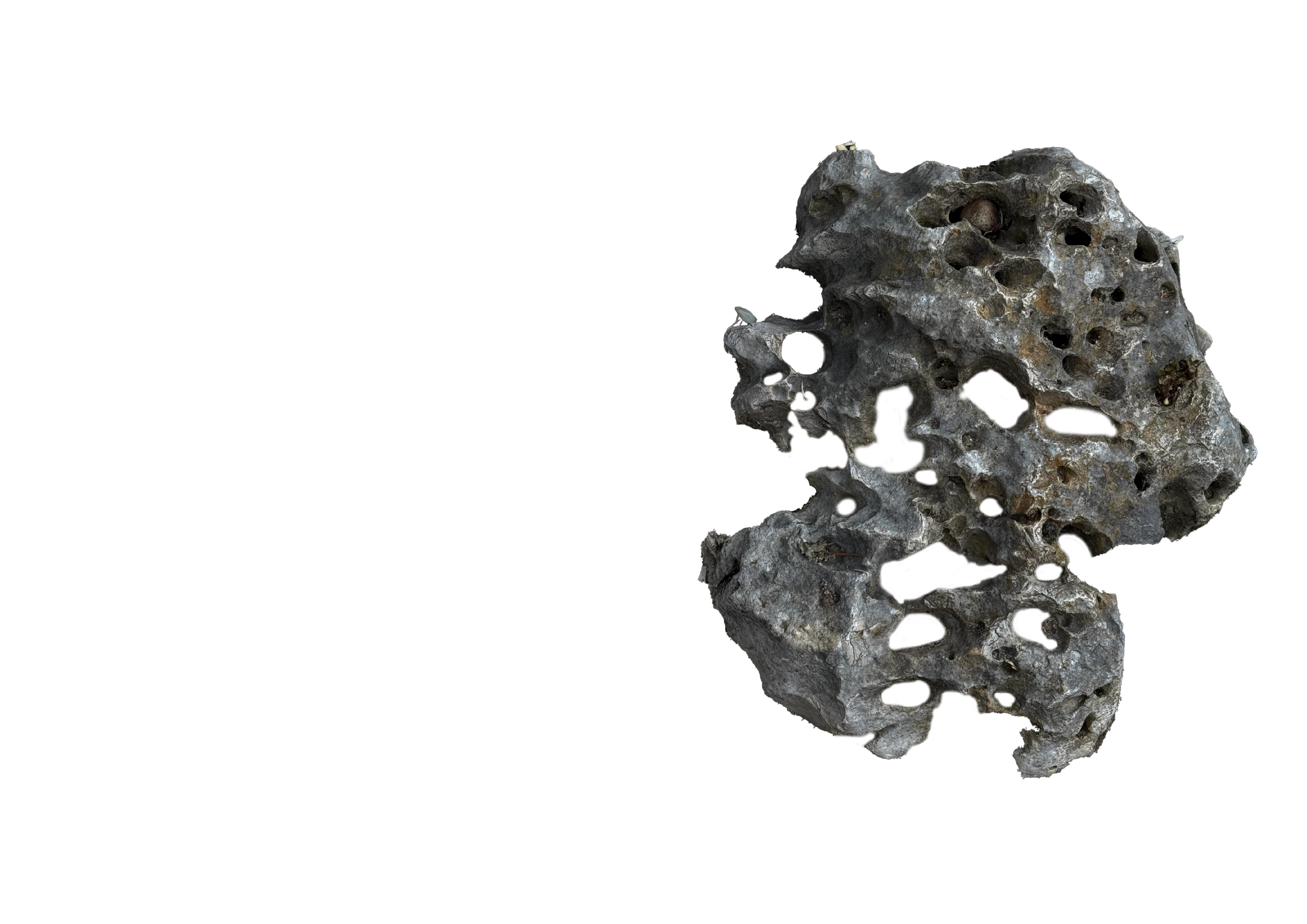 Grey volcanic rock pitted with deep holes, cut out on a white background.