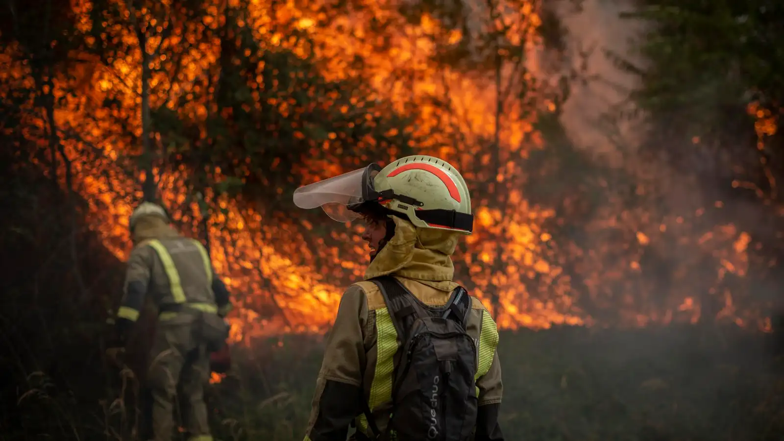 bomberos forestales delante de un incendio