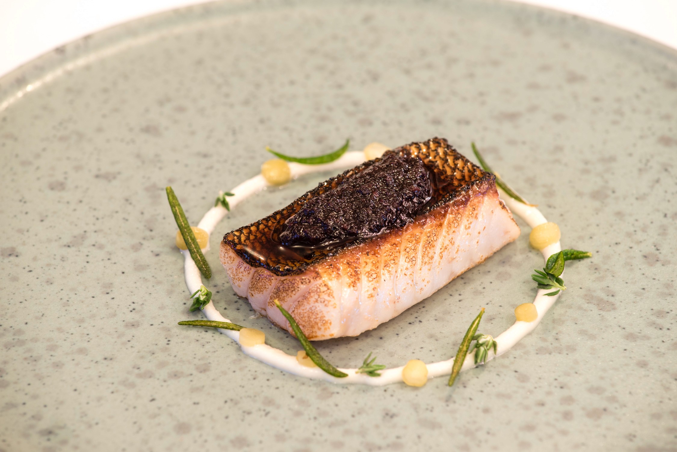 Seared salmon fillet with a seared crust served on a gray plate with dots of sauce and sprigs of fresh herbs.