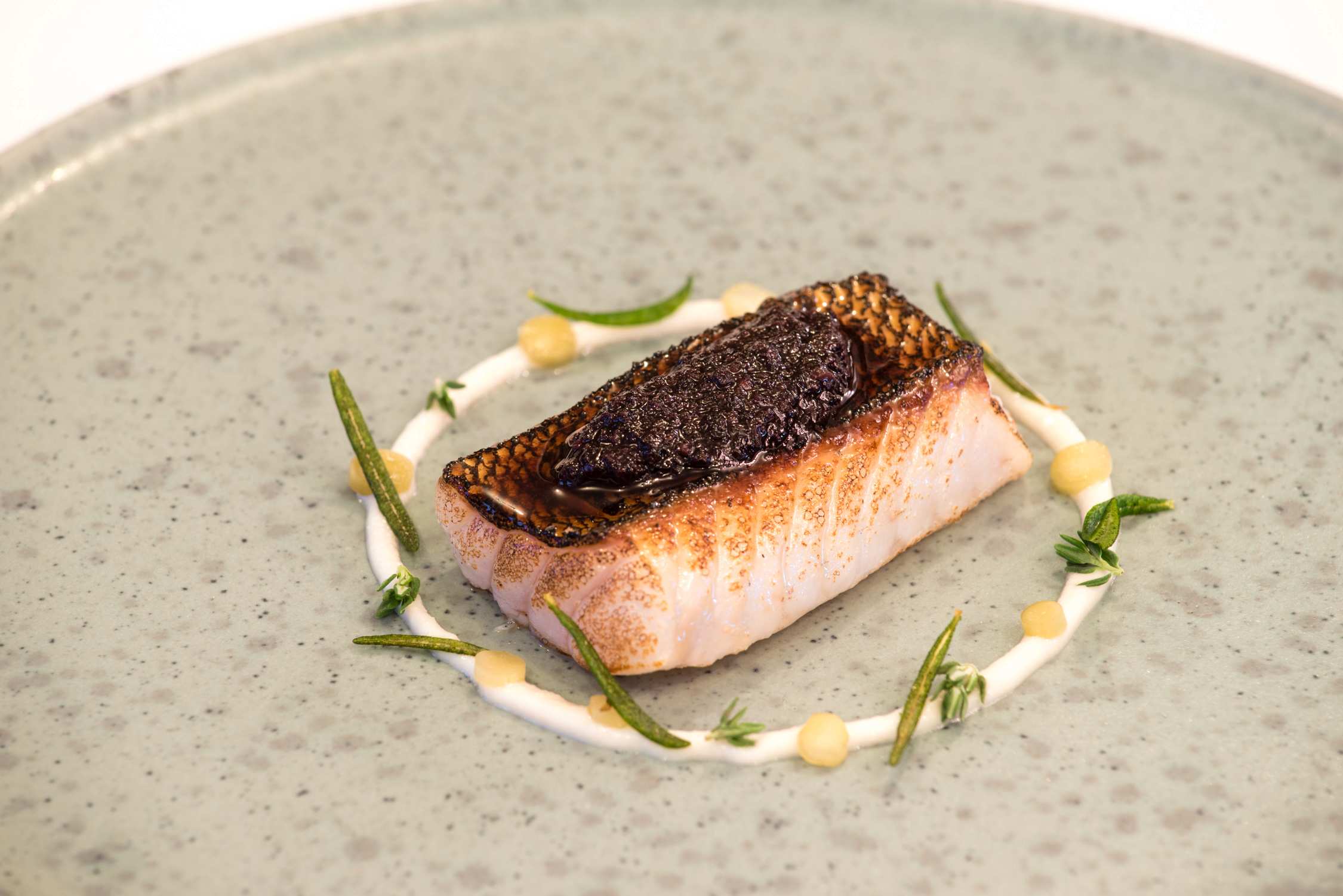 Seared salmon fillet with a seared crust served on a gray plate with dots of sauce and sprigs of fresh herbs.