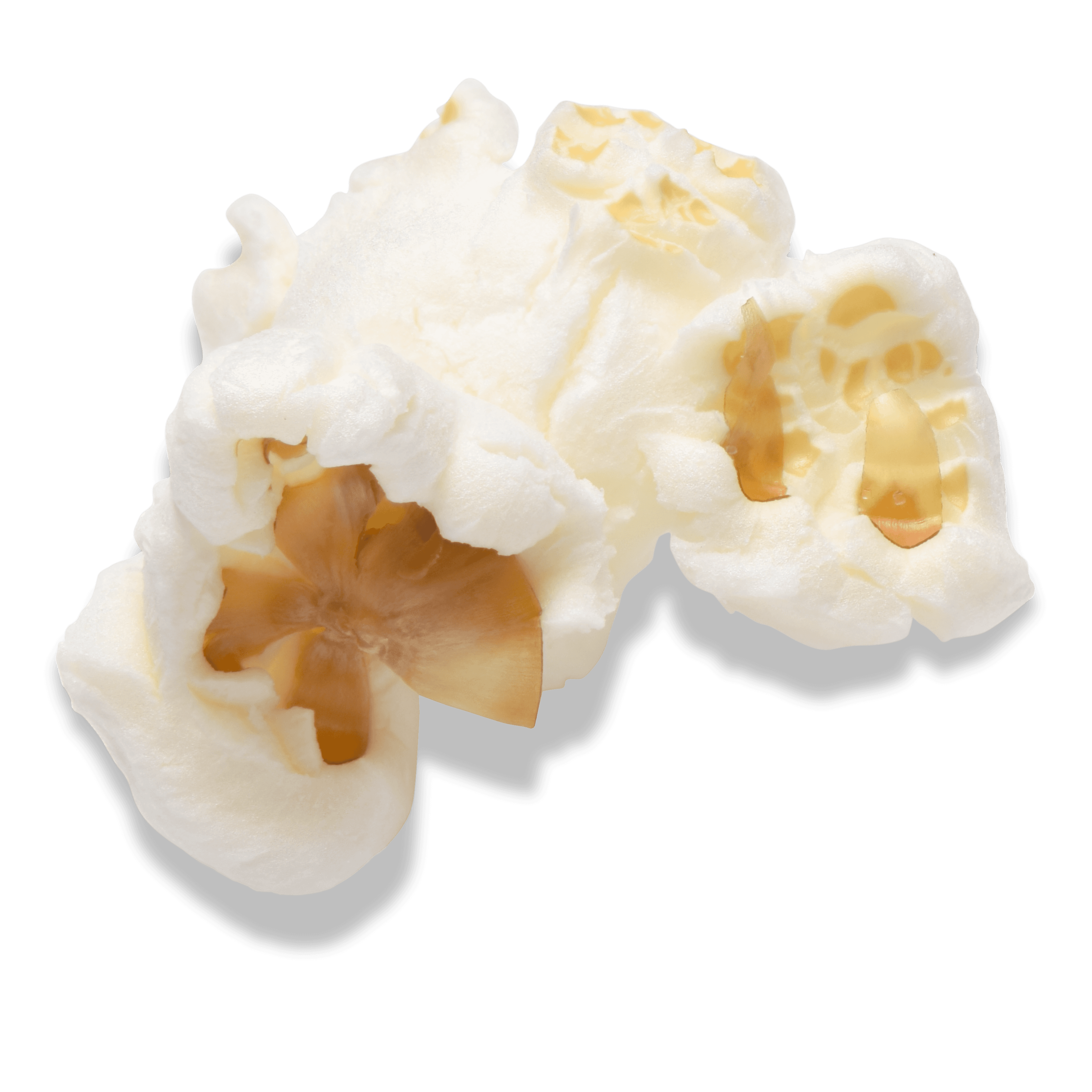 garlic_3