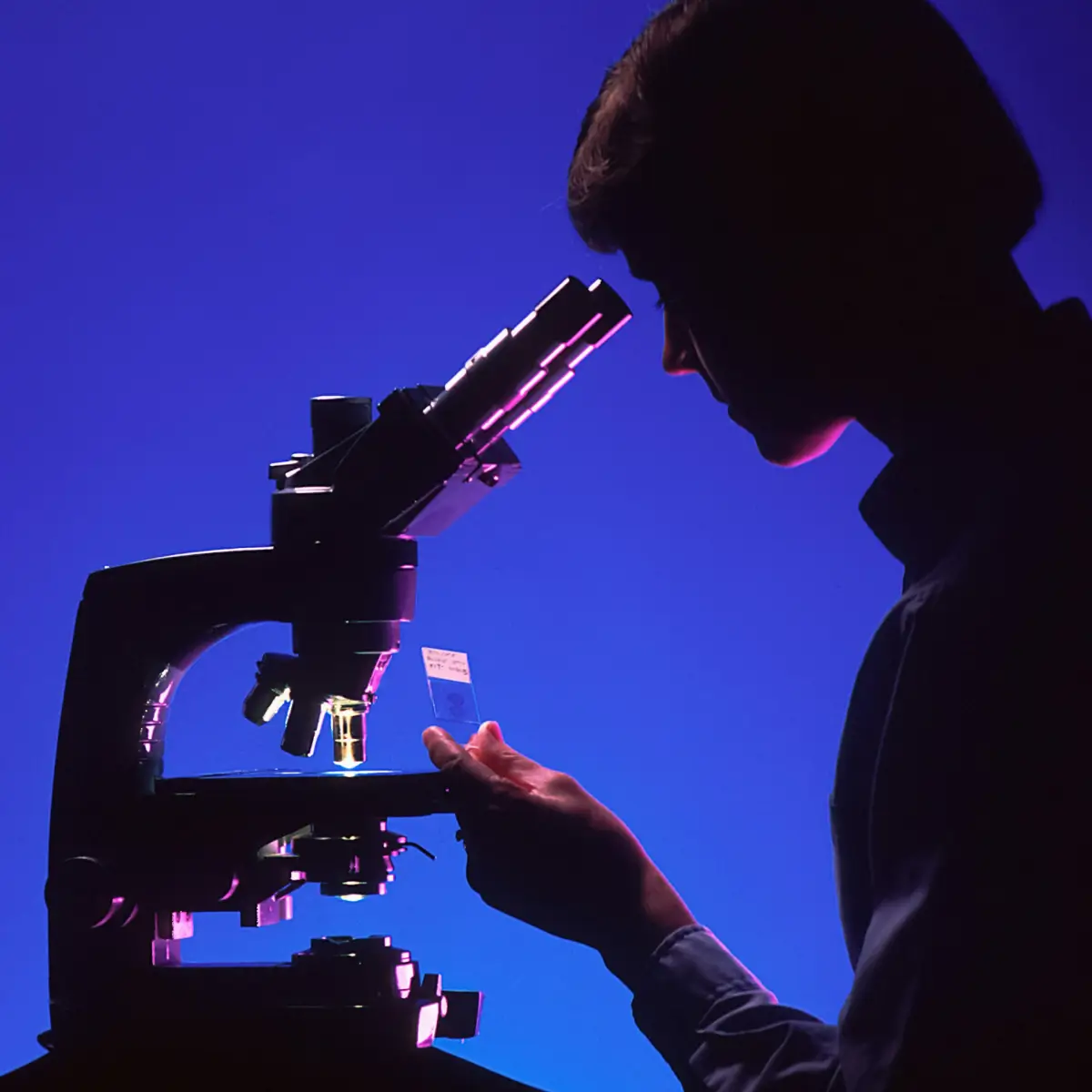 Silhouette of a researcher examining a slide under a microscope with a blue background.