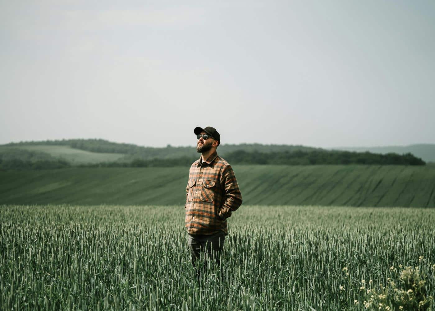 Supplements for beards - Man standing in a grassy field and looking to the distance