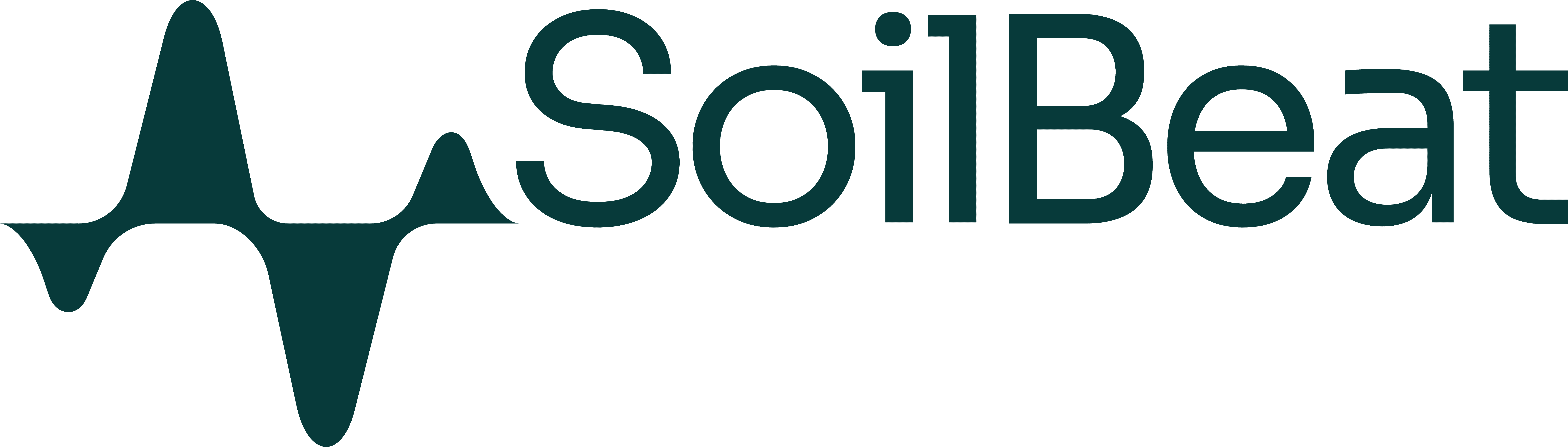 SoilBeat Logo