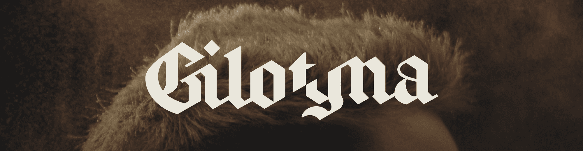 Gilotyna logo over a close-up of hair
