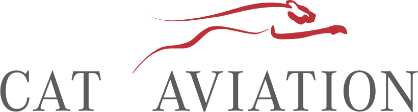 Advanced Flight private aviation company logo