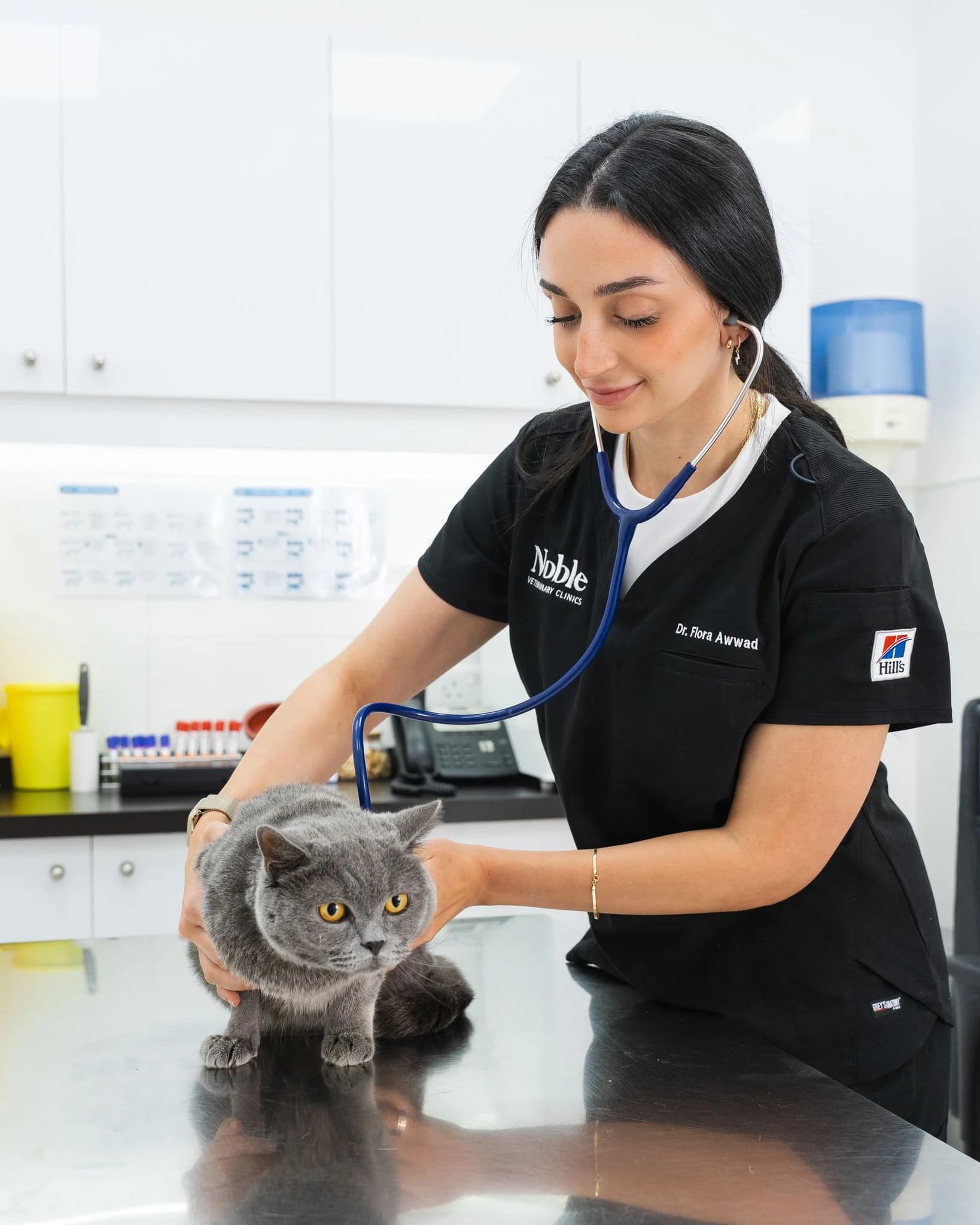 A veterinarian is holding a cat and checking its heart rate for tachycardia.