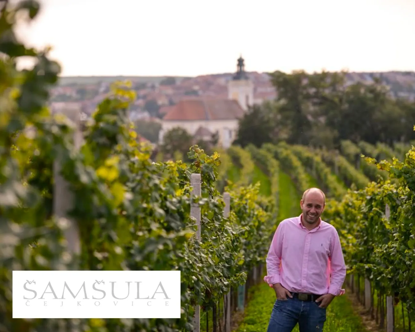 Vinařství Šamšula, Bosecco pod špuntem