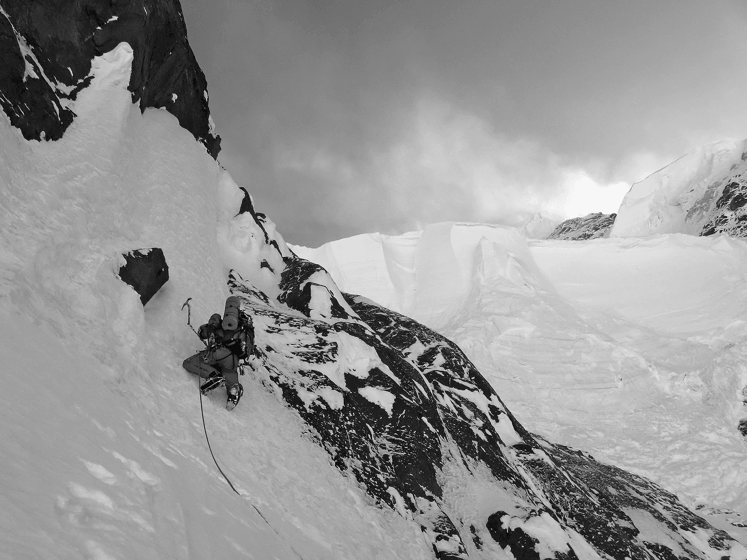 Sunset over ocean with green plants in foreground