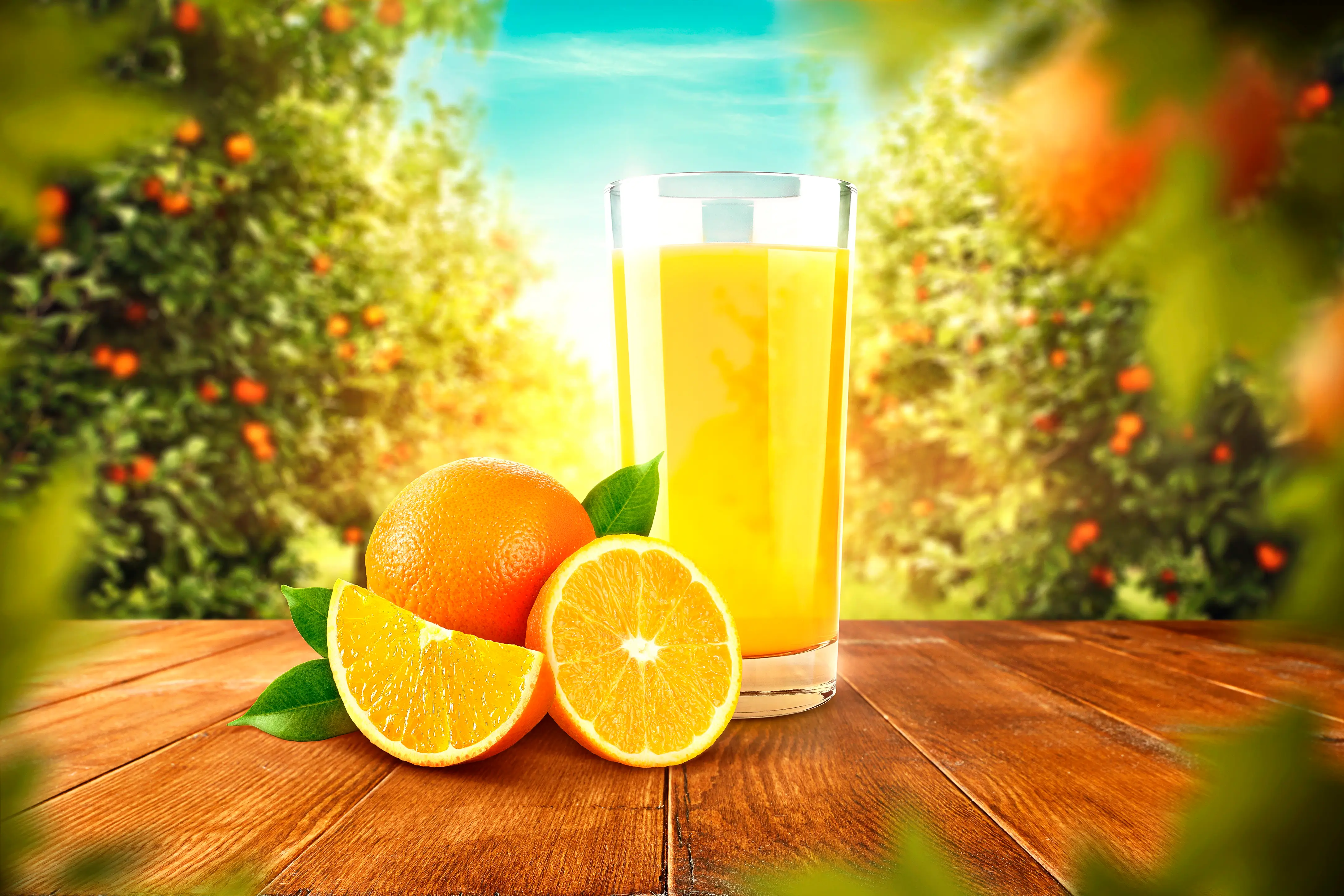Advertising mockup featuring a glass of natural orange juice on a wooden table with fresh oranges and a blurred sunny orchard background.