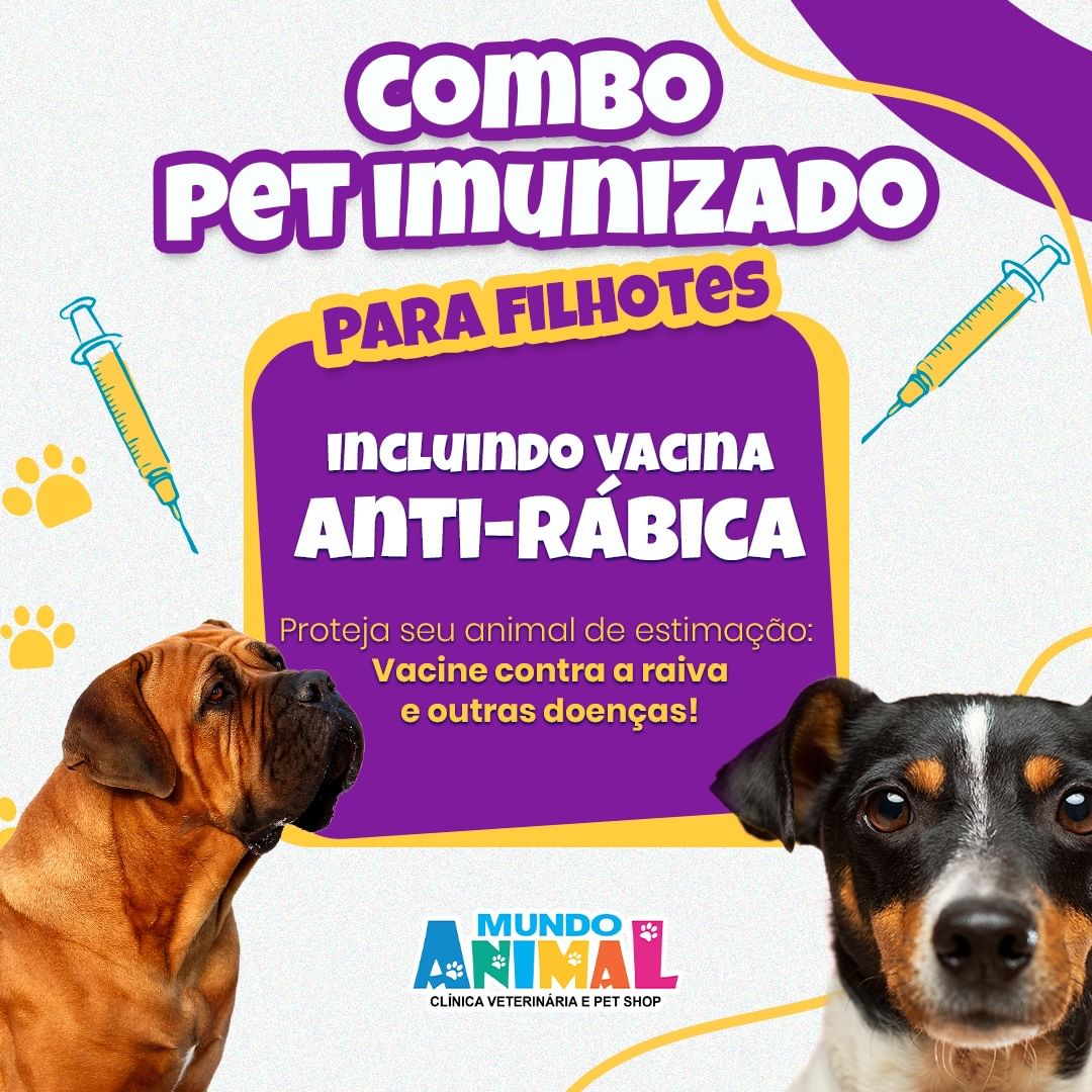 Promoção de combo pet para filhotes com vacinação anti-rábica na clínica veterinária de Bom Jesus do Itabapoana, administrada pela Dra Livia Jacomine