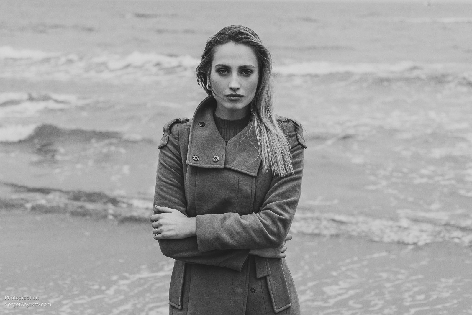 Seagulls by Sergei Chyrkov