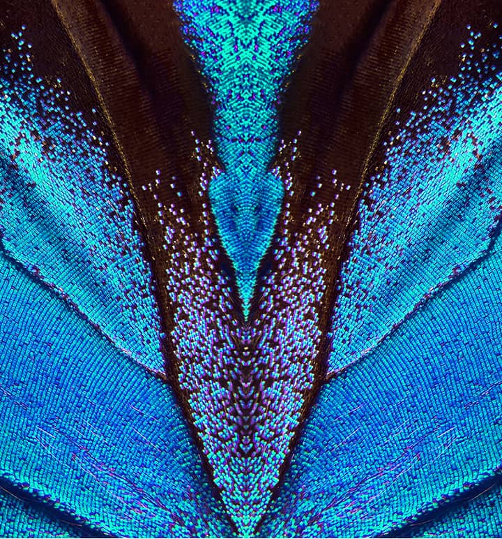 Work-Life Balance Couching