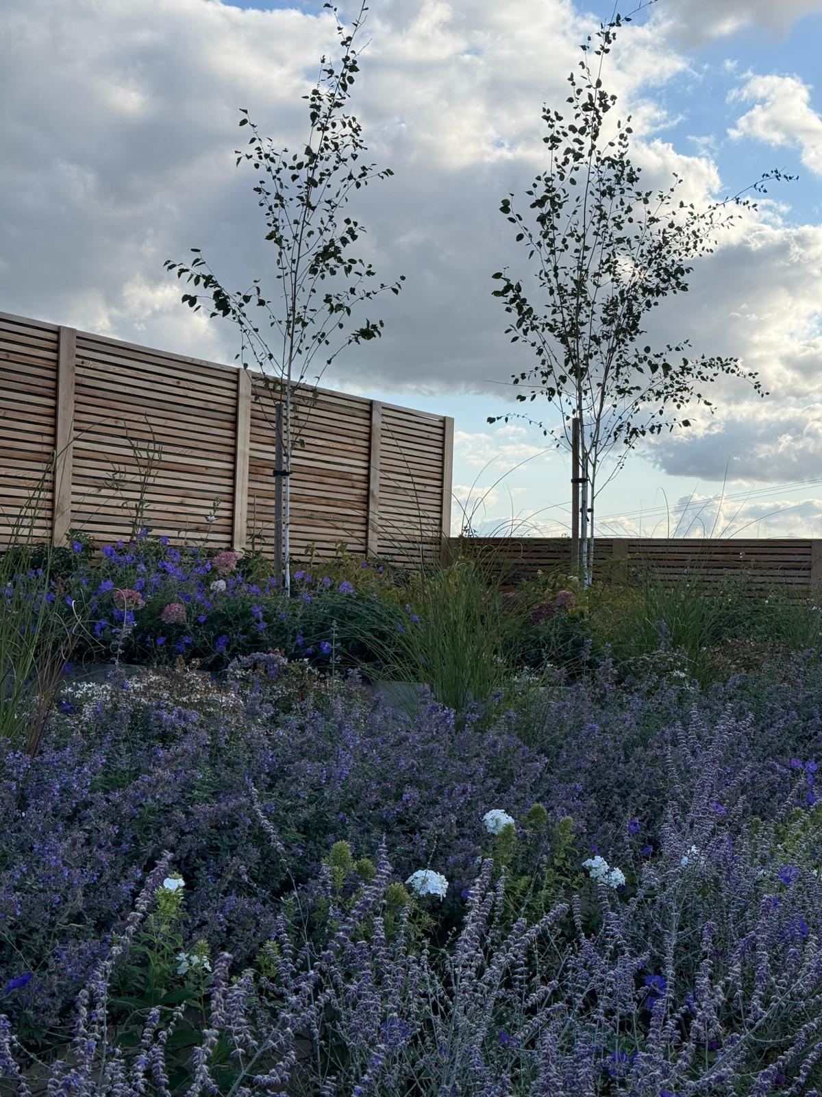 Wildlife-friendly perennial planting.